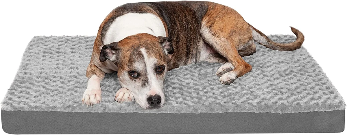 Dog bed covers hot sale ebay