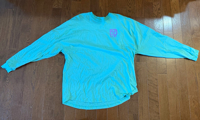 Disney Spirit Jersey Teal and Purple XL