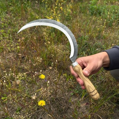 Large Sickle Hand-Forged Ash Handle 52100 Steel Clearing Tool Gift for Him.