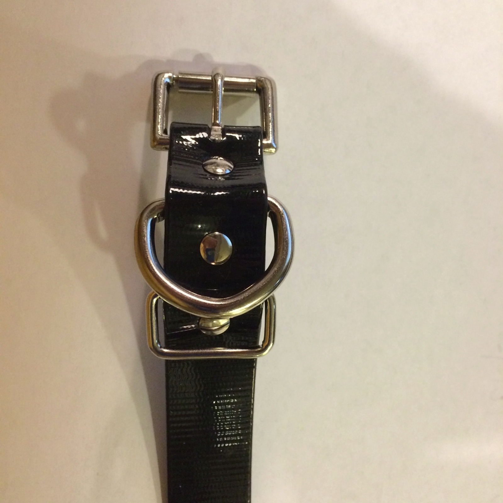 SportDog Compatible 1" replacement strap for SportDog Remote Training Collars eBay