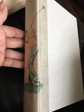 The FIRE AND The LIGHT: A NOVEL By Glen Craney 1st Edition 2008 No Dust Cover