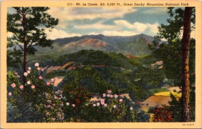 Postcard Mt Le Conte Great Smokey Mountain National Park Tennessee Linen