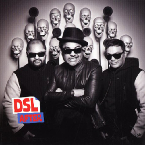 DSL After (CD) Import