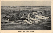 Vtg. 1910 Some Watered Stock Women in Bathing Suits Postcard p799