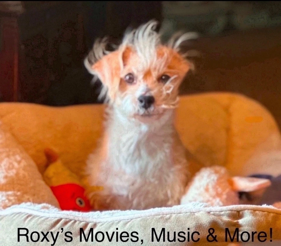 ‘Rent-A-Cop’ (1987 ~ 2024 KL Classics Blu-ray W/ Slipcover NEW!) Burt & Liza! - Image 4 of 4