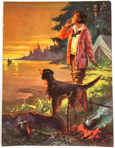 Wilderness Campfire - Irish Setter