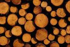 594013 Close up Of Logs A4 Photo Texture Print