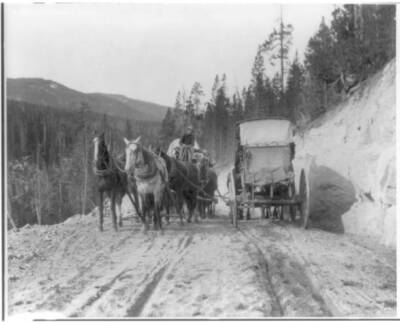 Wyo - Yellowstone National Park: two stagecoaches passing on mt Roa- Old Photo