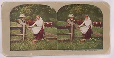 Where is Your Fortune Pretty Maid Farm Scene Romance Cows Field Stereoview Card
