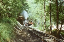 Originaldia 99 5904, unbek.Ort, 10.08.1981 -3