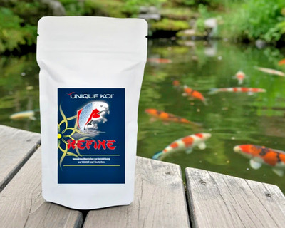 Refine - Montmorillonit 2 kg  mit Kalzium angereichertes Tonmineral Koi