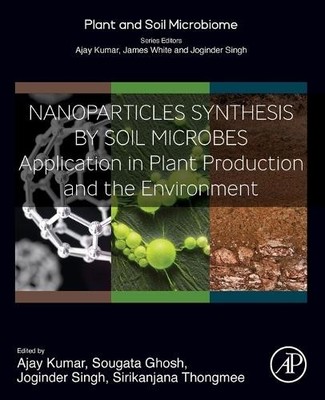 Nanoparticles Synthesis by Soil Microbes Kumar Ghosh Panwar Thongmee Paperback