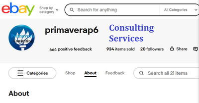   Primavera P6 Consulting Services Planning and Scheduling Project Management