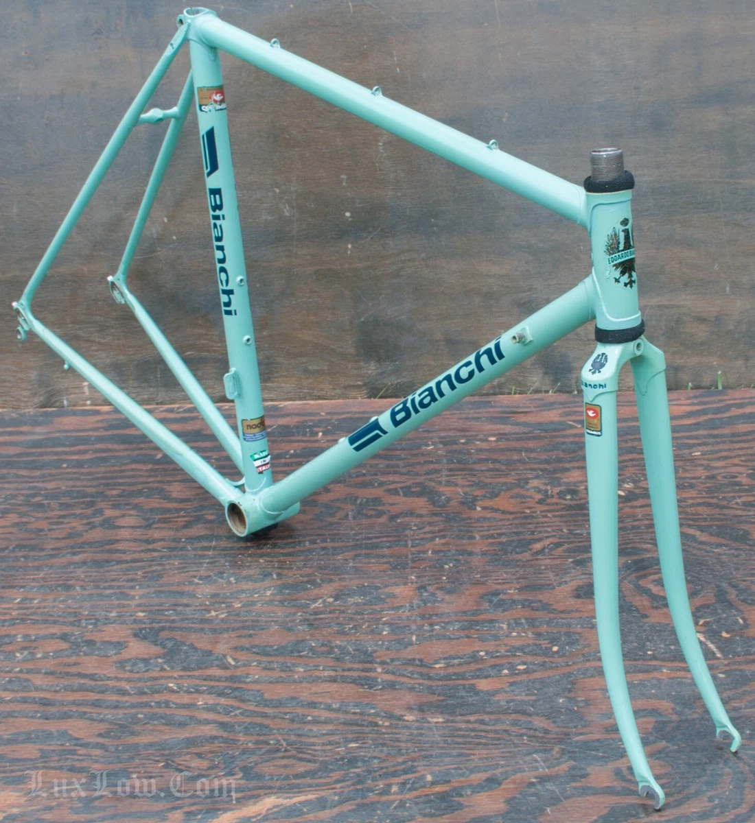Bianchi bike frame hotsell