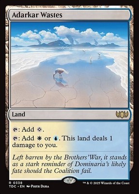 Adarkar Wastes 338 R Normal TDC MTG NM