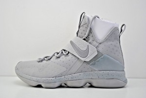 lebron 14 silver
