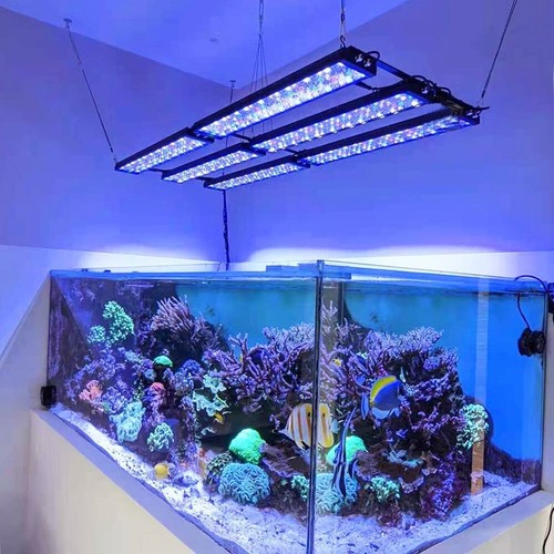 3PCS PopBloom H75 WiFi Led Aquarium Light Full Spectrum Reef Coral Marine Tank - Picture 13 of 13