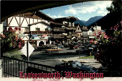 Fin Edelweiss, Leavenworth, Washington, Cascade Mountains, Michael W. Postcard