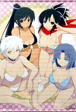 Tapestry [Single Item] Assembly (Swimsuit) Original B2 Tapestry ''Senran Kagura