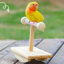 Papageien-Trainingsstange, Tisch-Vogelständer Für Sittiche, Nymphensittiche,