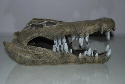 FMR Aquarium oder Vivarium detaillierte große Dekoration Krokodil Schädel 27 x 13 x 11 cm