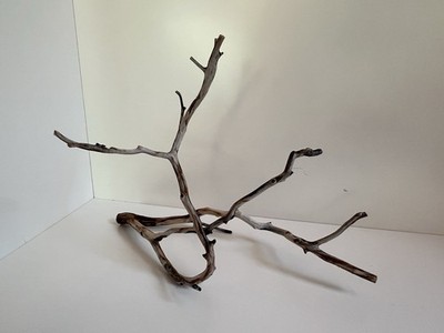 Manzanita Driftwood, Reptile Tank Decor,  Aquascape, Terrarium, Aquarium Wood