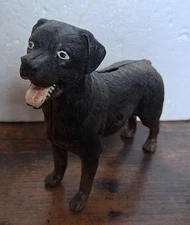 ROTTWEILER DOG BANK HEAVY BANK CAST IRON 7 INCH DOG