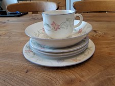 Royal Doulton Summer Carnival Expressions Tea Cup & Saucer Dish Plate Set