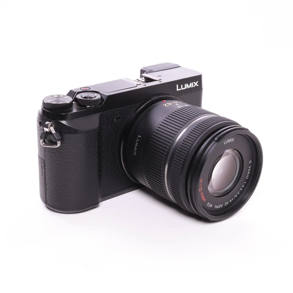Panasonic Lumix GX80, photo 3 of 5