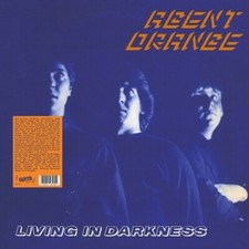 Living in Darkness by Agent Orange Record, 2022 