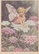 Candy Tuft Flower Fairy Counted Cross Stitch CHART No. 8-407/13