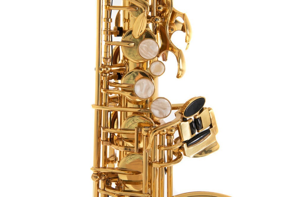 Pure Gewa Eb-Alto Children Saxophone Roy Benson AS-201 | eBay