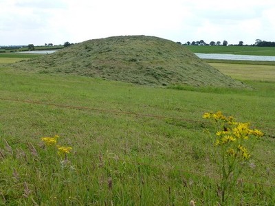 Photo A2 Tumulus - Not uncommon on this common Anmer One of several eart c2011