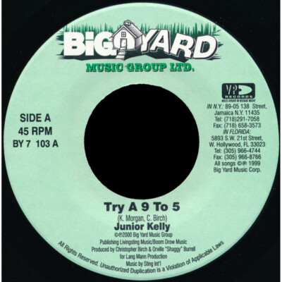 Junior Kelly - Try A 9 To 5 (Vinyl 7'' - 2000 - US - Original)
