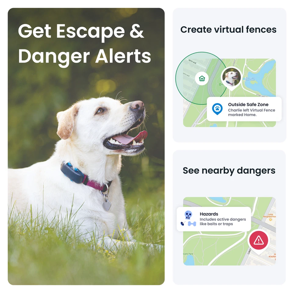 Tractive DOG 4 GPS Dog Collar | Refurbished | Blue | Trusted by Ben Fogle - Image 4 of 4