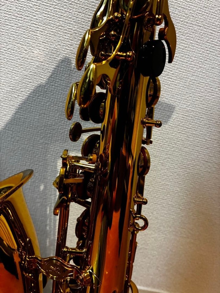 Sassofono contralto YAMAHA YAS-275 laccato oro con custodia rigida e ...