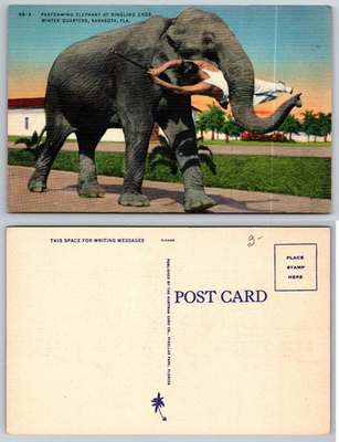 #ad #ad Vintage Linen Postcard Ringling Bros. Elephant Sarasota FL Circus Trainer $3.99