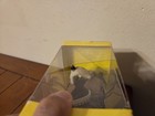 Foto 7 di 7