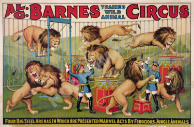 Barnes Wild Animal Circus vintage circus ad poster 24x16 | eBay