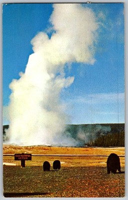 Vtg Postcard Old Faithful and Yellowstone National Park, WY 1970s