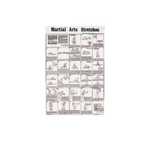 Martial Arts Stretching Poster