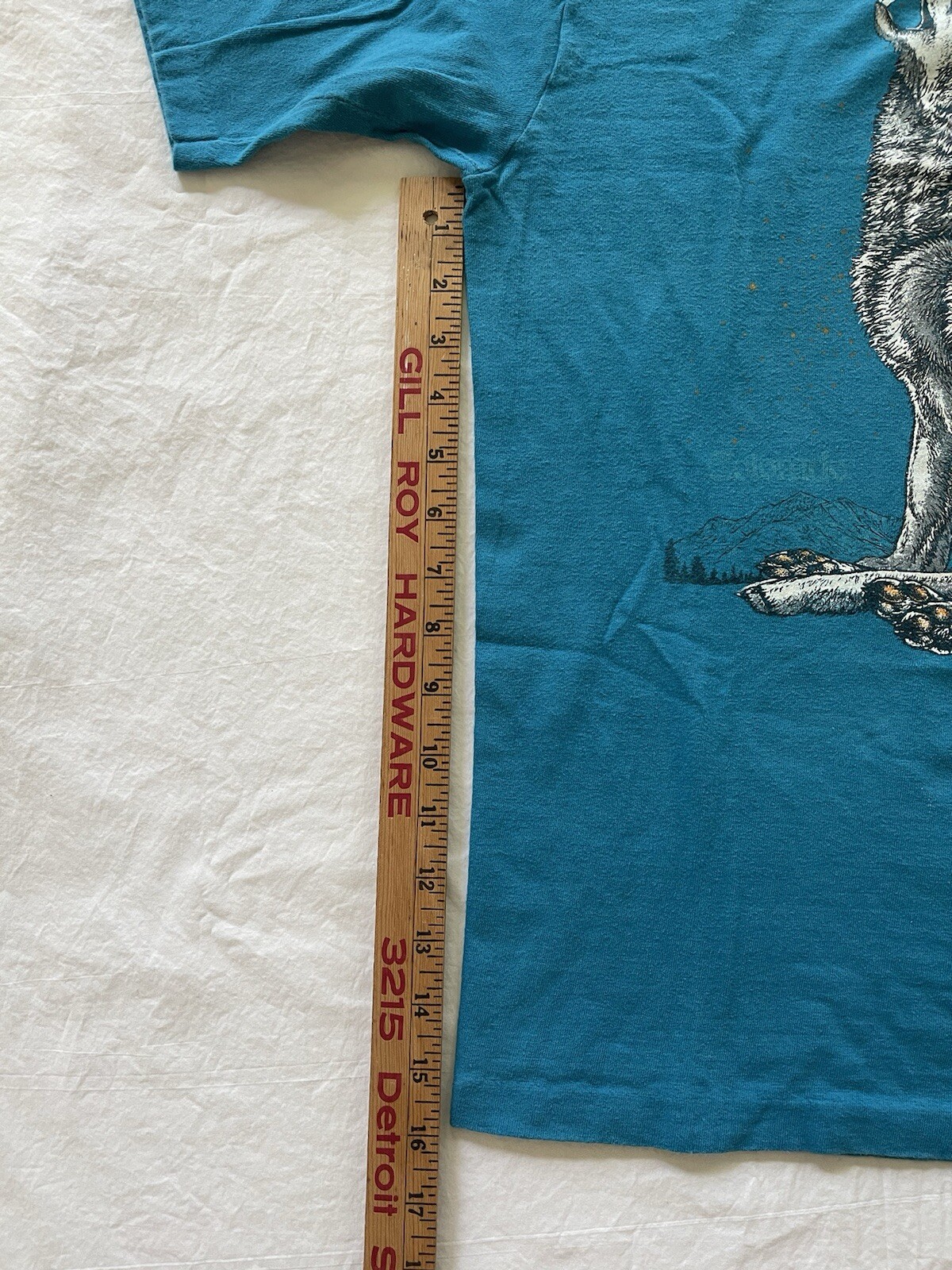 Picture 11 of 11