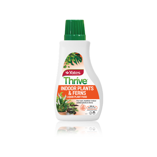 Yates 500ml Thrive Indoor Plants And Ferns Liquid Plant Food | eBay