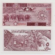 SOMALIA 5 SHILLINGS 1983 PICK 31 A UNC