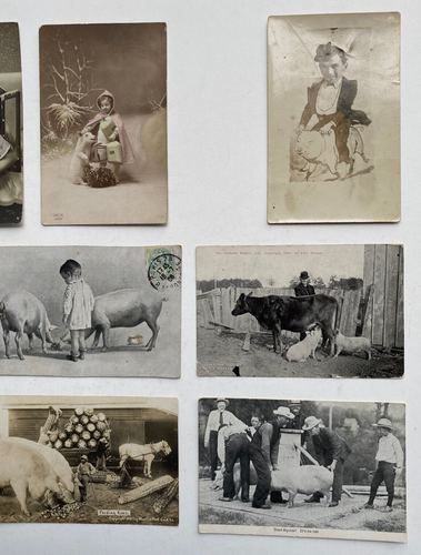 Postales antiguas humorísticas de cerdo - Gente con sus cerdos (10) - ¡Raras! - Imagen 4 de 4