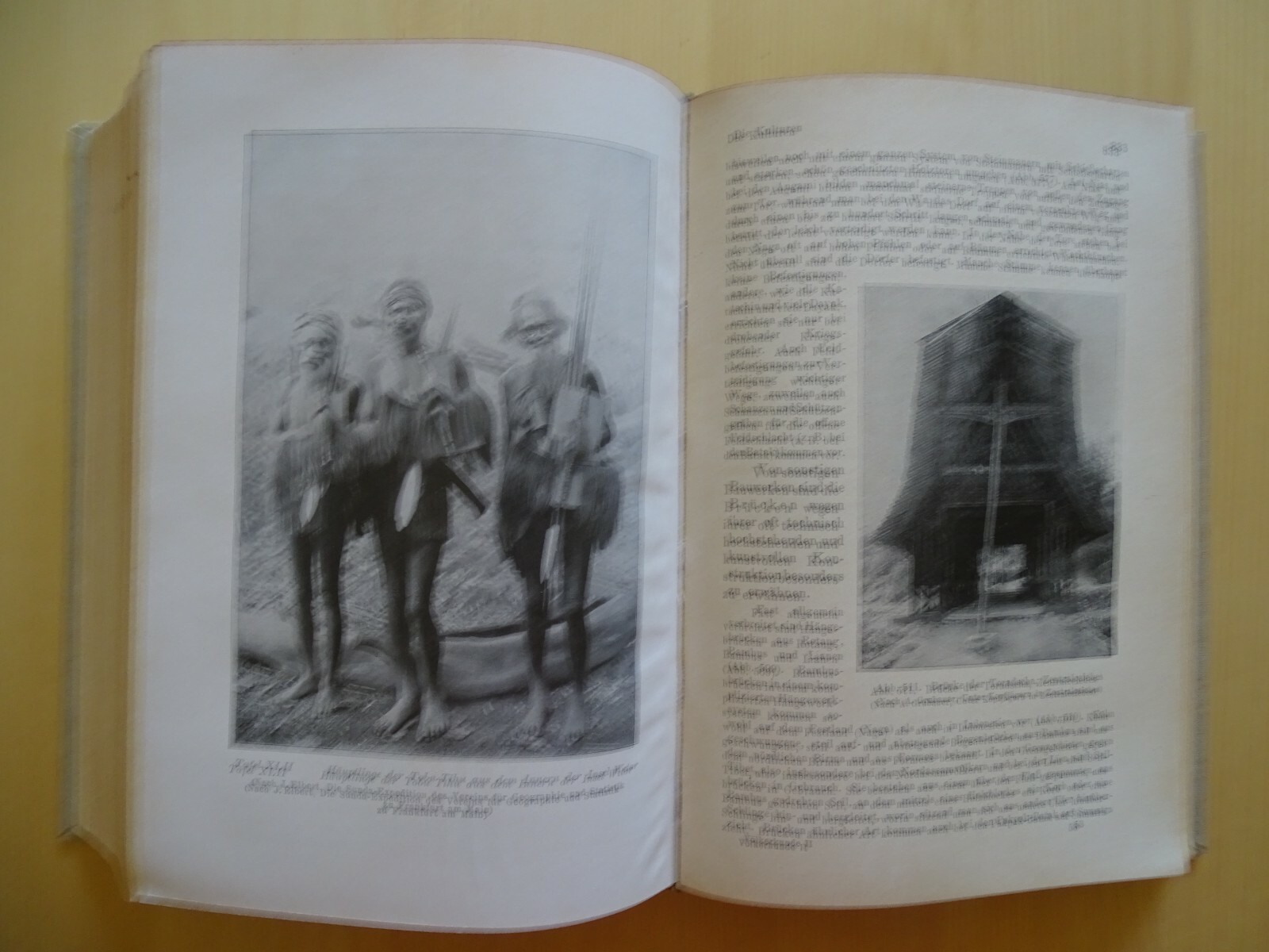 Bild 12 von 12