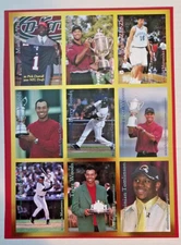Tiger Woods 2001 Sports Card Investors GOLD Sheet Vick Bonds Suzuki MM1