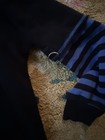Bild 3 von 5