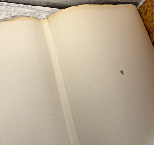 The love of Big Cats - Picture 5 of 14