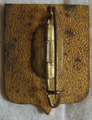 Bg13634 - Insignia Badge Blazon Cote D'Azur - UK